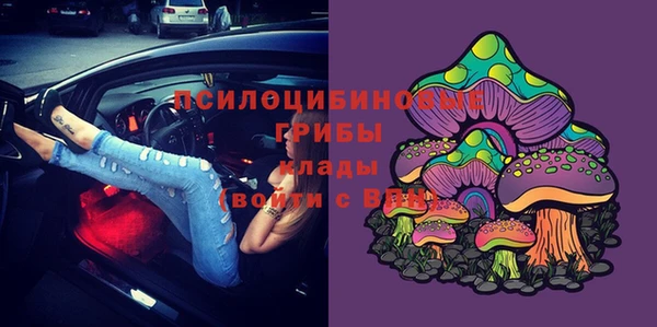 гашик Абдулино