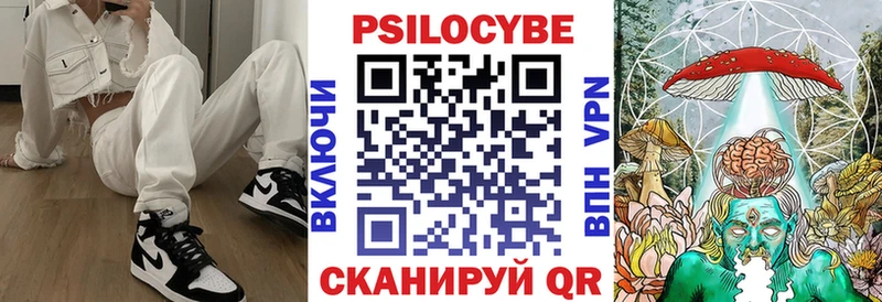 Псилоцибиновые грибы мухоморы  сколько стоит  Александровск 